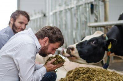 Michael Schütze und Carsten Gieseler, <br> Geschäftsführer bei fodjan