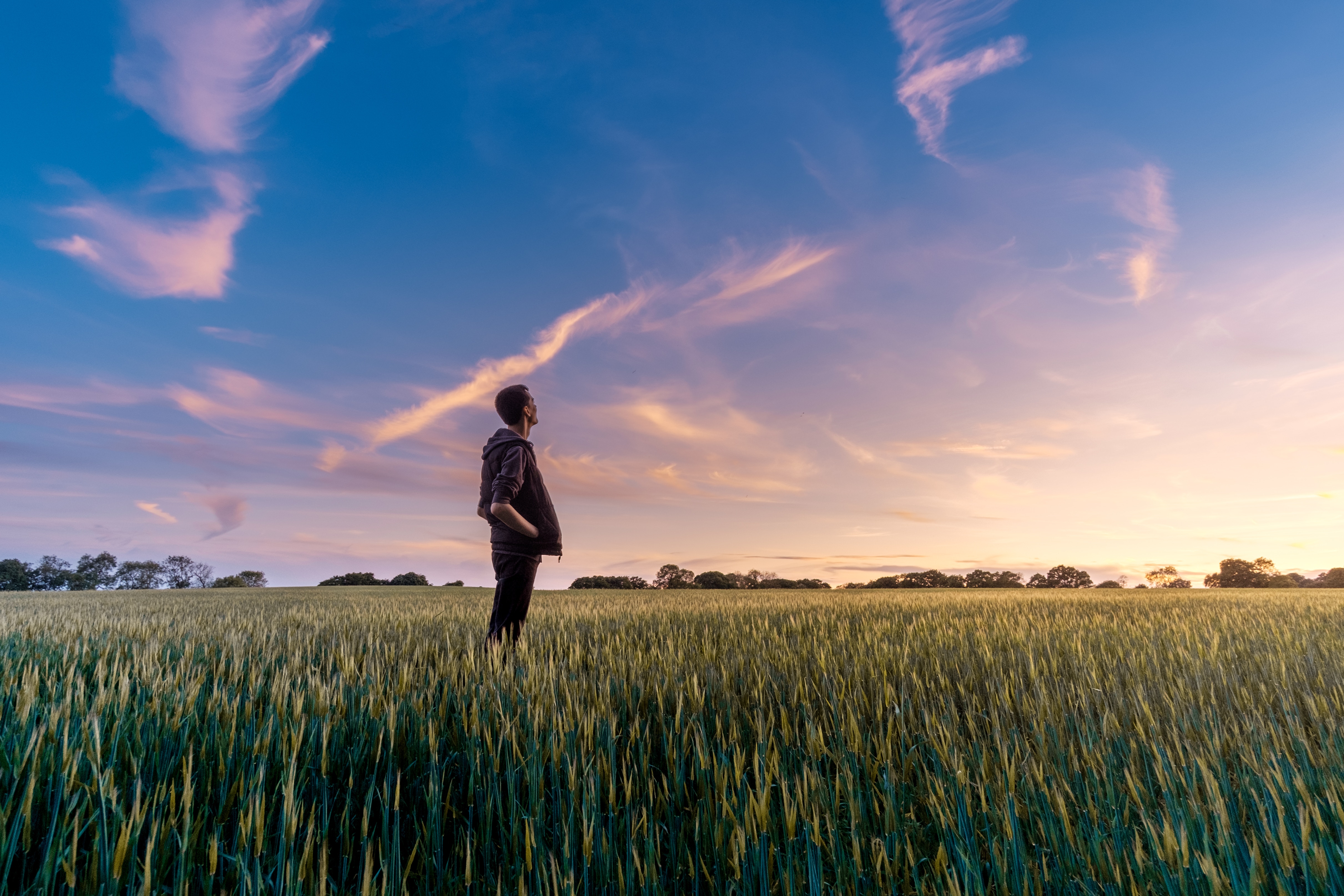 Wo steht die Digitalisierung in der Landwirtschaft? – Netzwerk Digitale